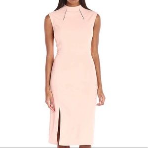 Ivanka Trump Ballet Pink Blush Dress NEW 💞